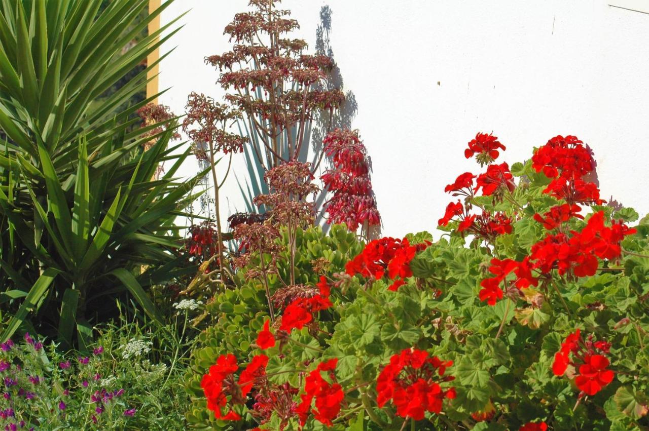 Jingtu Wellness & Spa B&B Comares Dış mekan fotoğraf